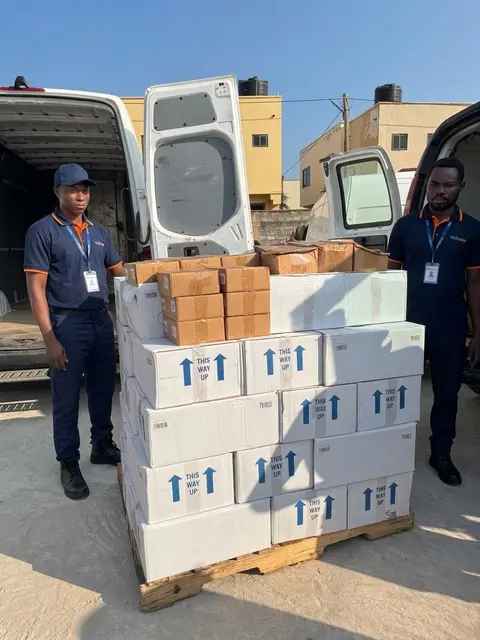 Cartons stacked on a pallet beside the van